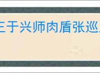 王于兴师肉盾张巡刀怎么玩,王于兴师肉盾张巡刀阵容推荐