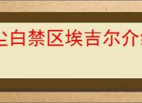 尘白禁区埃吉尔介绍说明,尘白禁区埃吉尔战斗机制一览