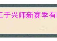 王于兴师新赛季有哪些技能,王于兴师百家争鸣新技能一览