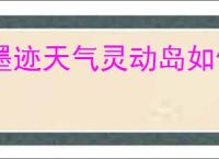 墨迹天气灵动岛如何关闭