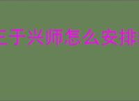 王于兴师怎么安排内政,王于兴师角色内政安排推荐