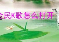 全民K歌怎么打开