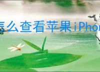 怎么查看苹果iPhone15电池健康