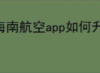 海南航空app如何升舱
