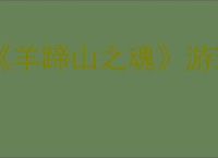 《羊蹄山之魂》游戏类型介绍