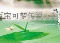 《宝可梦传说za》制作厂商介绍