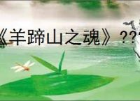 《羊蹄山之魂》???????铠甲一览