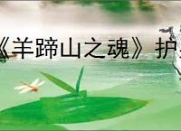 《羊蹄山之魂》护身符一览