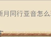 新月同行亚音怎么玩,新月同行亚音阵容搭配攻略