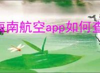 海南航空app如何查看行李信息