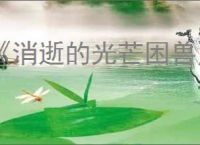 《消逝的光芒困兽》河狸谷菜谱全收集