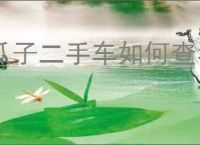 瓜子二手车如何查看自己买车信息