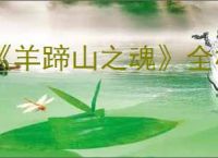 《羊蹄山之魂》全机关箱位置