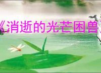 《消逝的光芒困兽》菲舍尔家族文档位置介绍