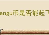pengu币是否能起飞