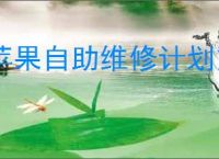 苹果自助维修计划支持哪些设备机型