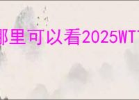 哪里可以看2025WTT欧洲大满贯瑞典站直播