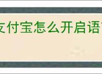 支付宝怎么开启语言播报到账提醒