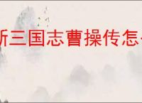 新三国志曹操传怎么过军营演武六,新三国志曹操传军营演武六关卡流程