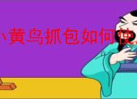 小黄鸟抓包如何使用