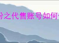 盼之代售账号如何估值