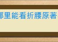 哪里能看折腰原著小说未删减版