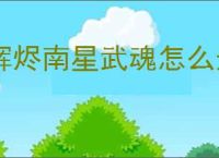 辉烬南星武魂怎么选择,辉烬南星词条搭配推荐