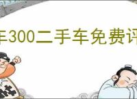 车300二手车免费评估如何使用