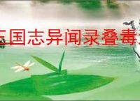 三国志异闻录叠毒流怎么玩,三国志异闻录叠毒流搭配推荐