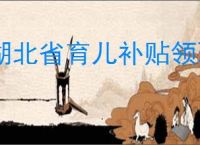 湖北省育儿补贴领取方法
