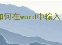 如何在word中输入罗马数字页码