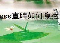 boss直聘如何隐藏简历