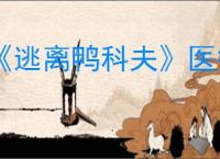 《逃离鸭科夫》医疗物品图鉴