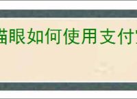 猫眼如何使用支付宝付款