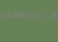 《逃离鸭科夫》消耗品图鉴