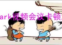 Lark视频会议卡顿怎么办