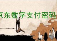 京东数字支付密码是不是银行卡密码