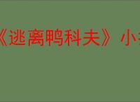 《逃离鸭科夫》小扩容箱使用介绍