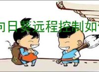 向日葵远程控制如何设置自动检测网络
