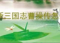 新三国志曹操传怎么获得无双星蕴石,新三国志曹操传无双星蕴石获取途径