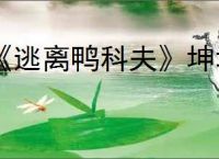 《逃离鸭科夫》坤坤套装获得方法