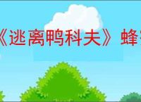 《逃离鸭科夫》蜂蜜刷新位置介绍