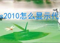 vs2010怎么显示代码行数