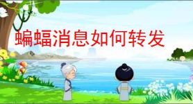 蝙蝠消息如何转发