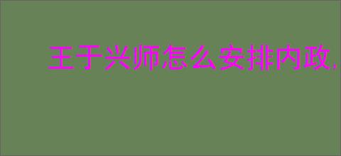 王于兴师怎么安排内政,王于兴师角色内政安排推荐