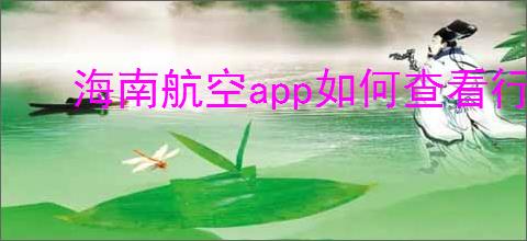 海南航空app如何查看行李信息