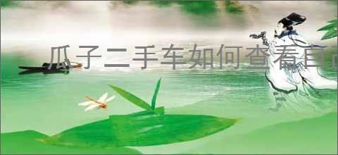 瓜子二手车如何查看自己买车信息