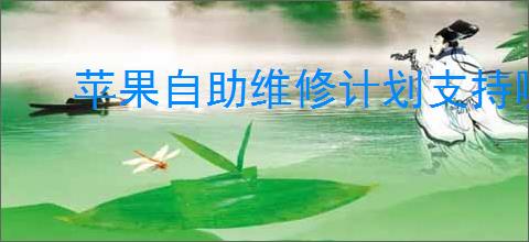 苹果自助维修计划支持哪些设备机型