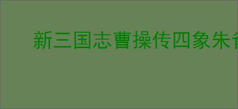 新三国志曹操传四象朱雀第六关怎么过,新三国志曹操传四象朱雀第六关阵容