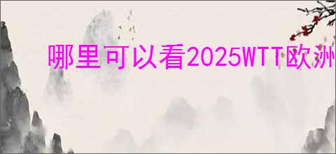 哪里可以看2025WTT欧洲大满贯瑞典站直播